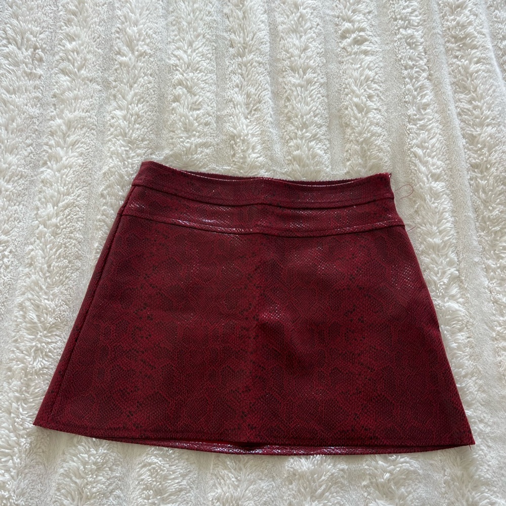 Zara Burgundy A-Line Skirt